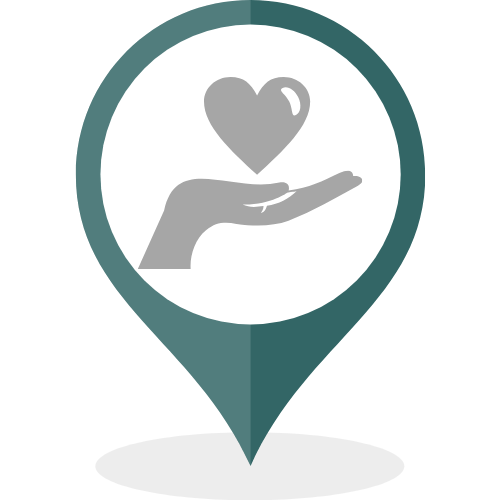 NonProfit pin