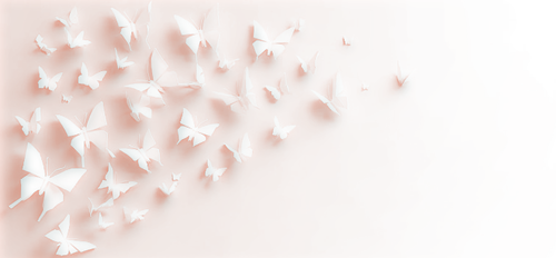 Paperless Accounts Payable System Paperless AP Butterflies Orange